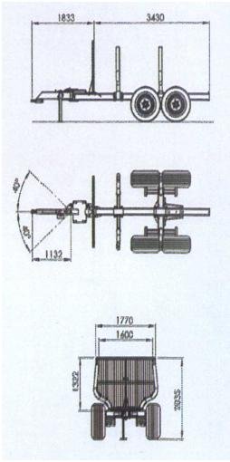 palms 81 A